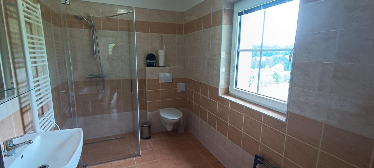 Apartman U Lebedu Διαμέρισμα Strazny Εξωτερικό φωτογραφία